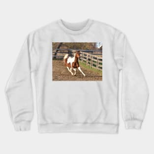 Dallas Crewneck Sweatshirt